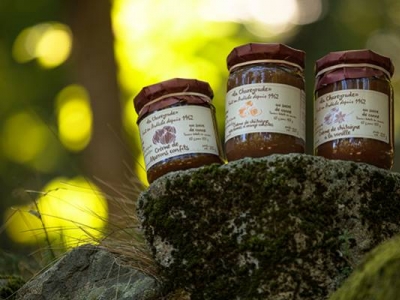 Profitez de la saison de cueillette des châtaignes !